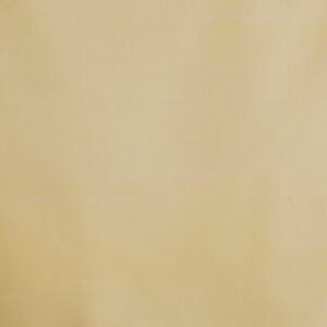 Foscurit Liso Beige Oscuro